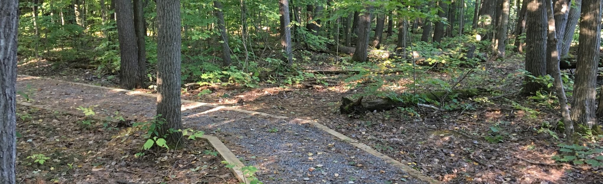 Oak Rim, John Young, and Inman Glide Trail 149 Reviews, Map New York