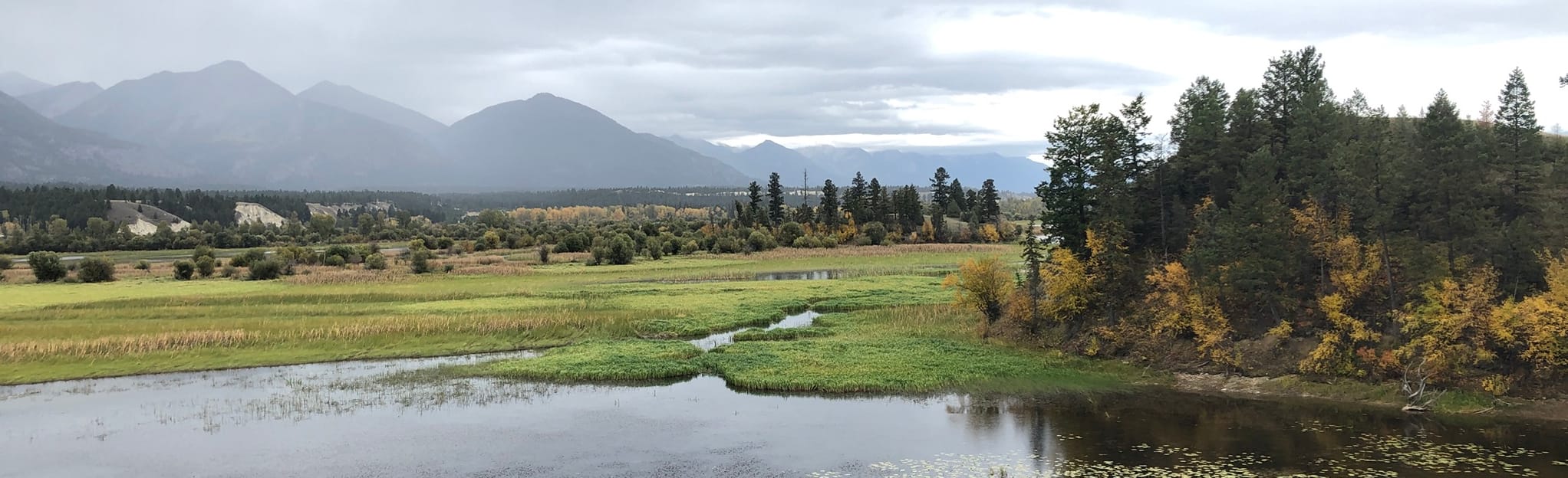 Wilmer Wetlands, British Columbia, Canada 286 Reviews, Map AllTrails