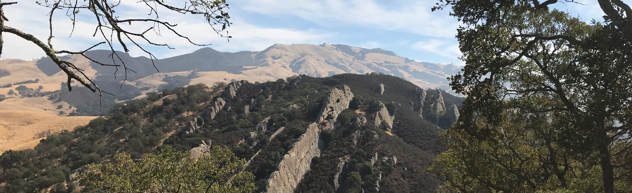 AllTrails Mount Diablo Lookout from Macedo Ranch Staging Area 322
