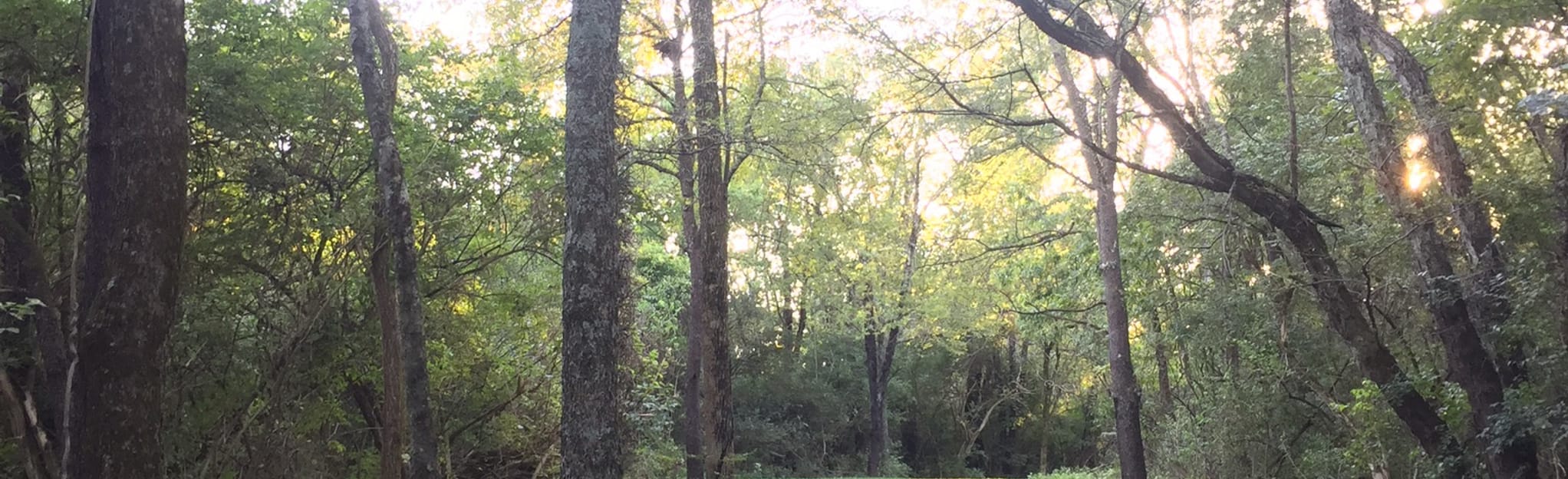 Camp Dennison Nature Trail, Ohio 31 Reviews, Map AllTrails