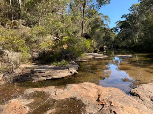 10 Best Hikes and Trails in Royal National Park | AllTrails