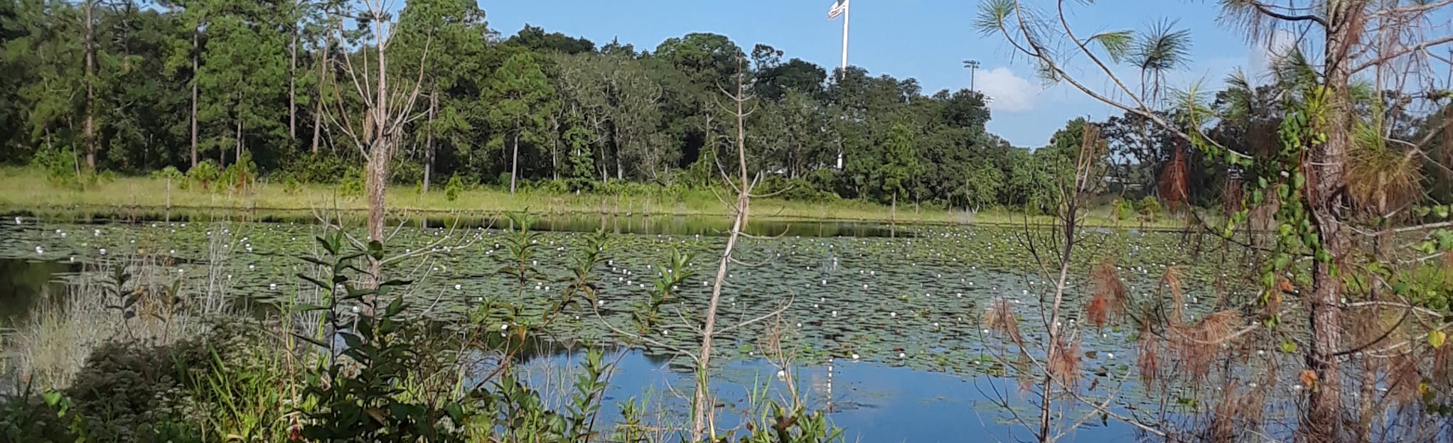 Seminole Wekiva Trail, Florida 145 Reviews, Map AllTrails