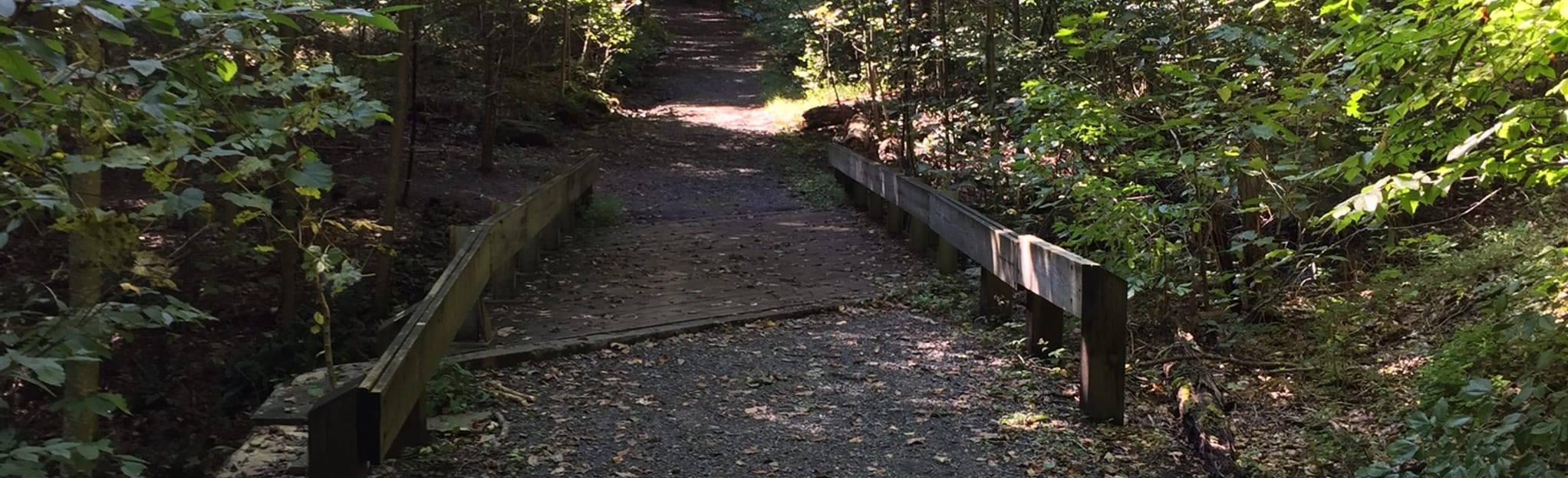 Boulevard Trail to Watershed Trail - EyJidWNrZXQiOiJhc3NldHMuYWxsdHJhaWxzLmNvbSIsImtleSI6InVwbG9hZHMvcGhvdG8vaW1hZ2UvMjE0NTQ2MTgvZjAwYTAzMGMzNWU3MDg5MWFhZjM5MDZlN2NlMzhlYWMuanBnIiwiZWRpdHMiOnsidG9Gb3JtYXQiOiJqcGVnIiwicmVzaXplIjp7IndpZHRoIjoyMDQ0LCJoZWlnaHQiOjYyNCwiZml0IjoiY292ZXIifSwicm90YXRlIjpudWxsLCJqcGVnIjp7InRyZWxsaXNRdWFudGlzYXRpb24iOnRydWUsIm92ZXJzaG9vdERlcmluZ2luZyI6dHJ1ZSwib3B0aW1pc2VTY2FucyI6dHJ1ZSwicXVhbnRpc2F0aW9uVGFibGUiOjN9fX0=