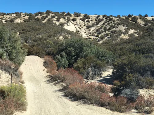 Gorman ohv clearance camping