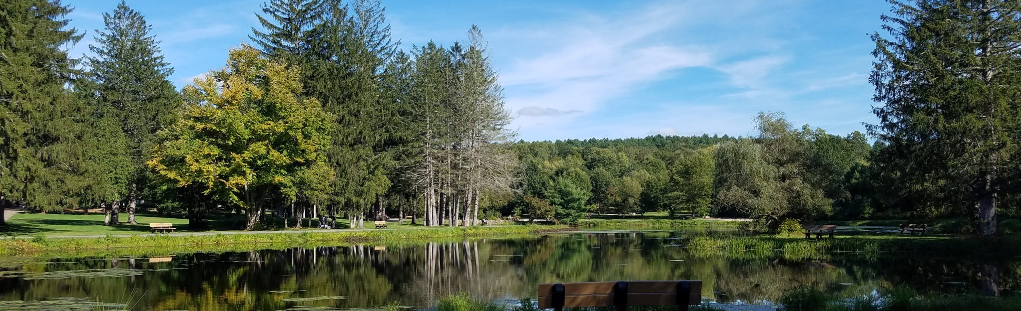 Benson Park Hiking Trail 1151 Reviews, Map New Hampshire AllTrails