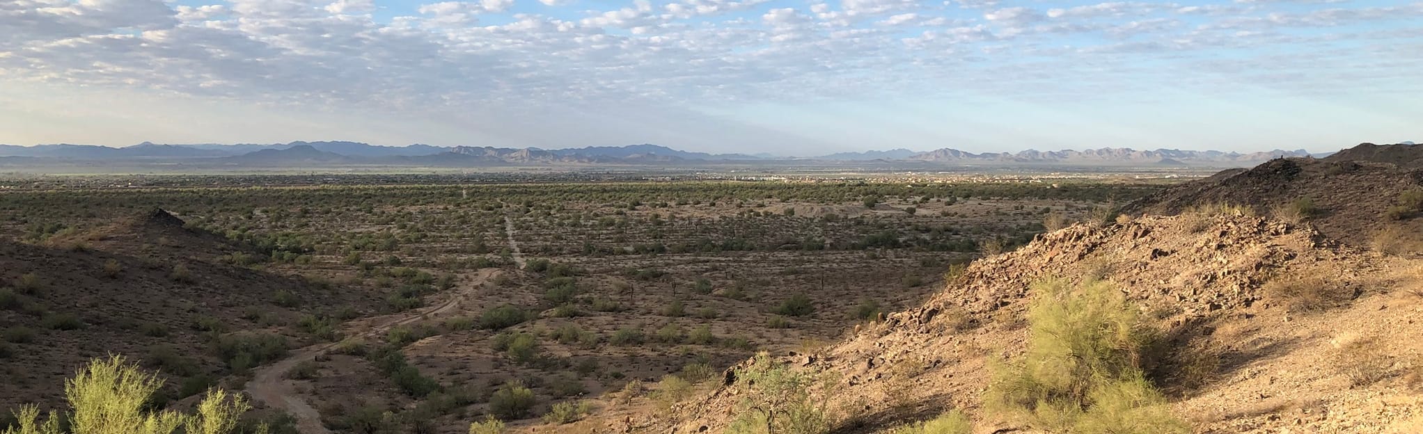 Quartz, Skyline and Turnbuckle Trail 1.611 foto Arizona AllTrails