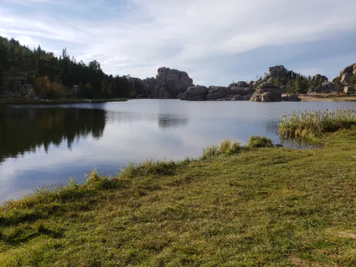 Pesca con ranas equipo lugares las mejores ranas y mas - 📽 # 59 