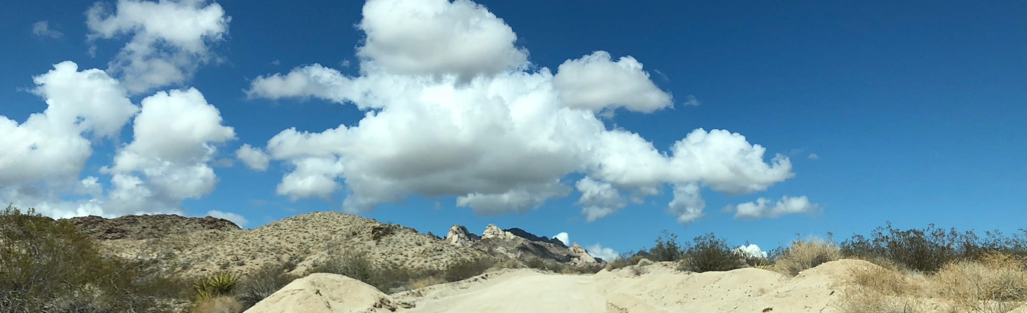 Christmas Tree Pass, Nevada 57 Reviews, Map AllTrails