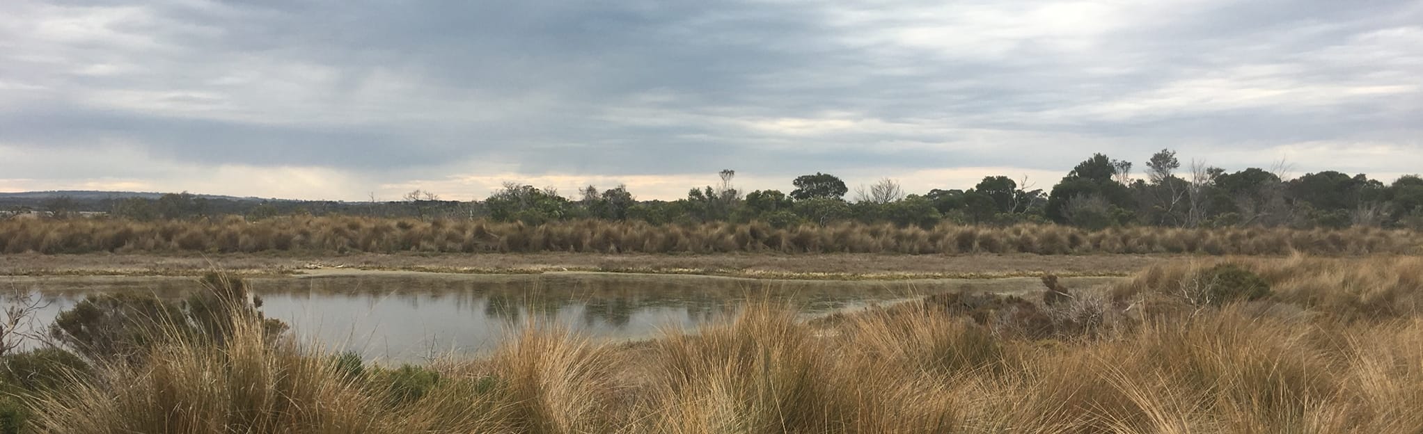 Coastal Woodland and Two Bays Lookout Walk 51 Reviews, Map Victoria