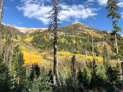 Misty Mountain Morning, Weminuche Wilderness, Colorado