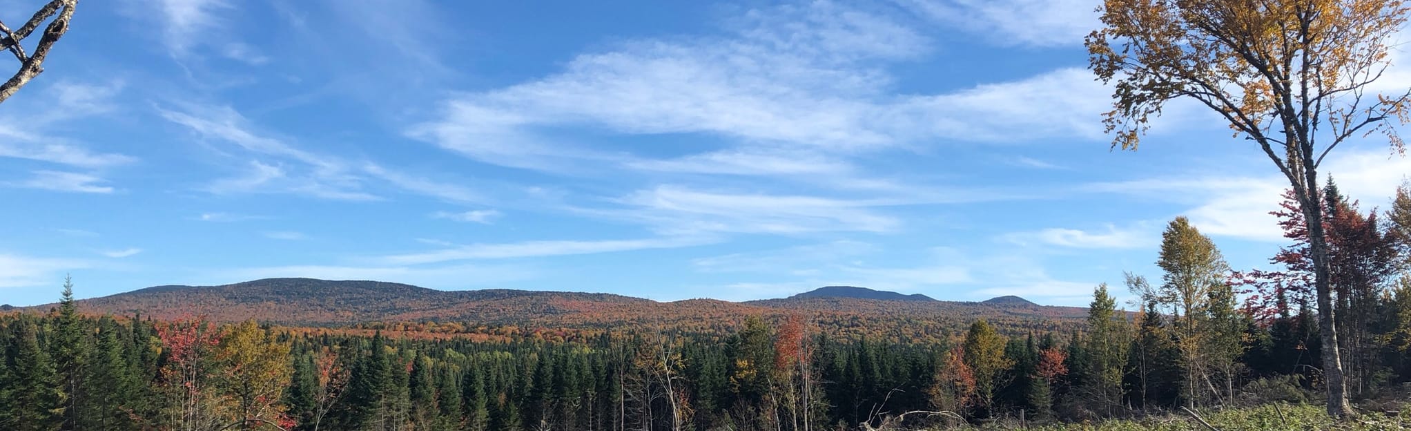 Moose Alley Trail 88 Reviews, Map New Hampshire AllTrails