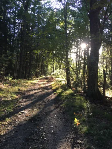 10 Best Hikes and Trails in Harold Parker State Forest | AllTrails