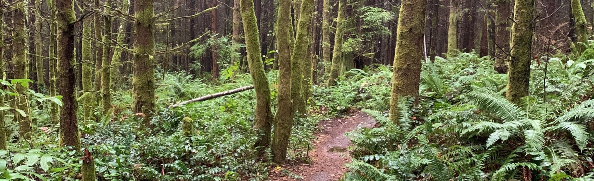 Spine Line, Ravine Run, Boundary Trails Loop, Washington - 378 Reviews ...