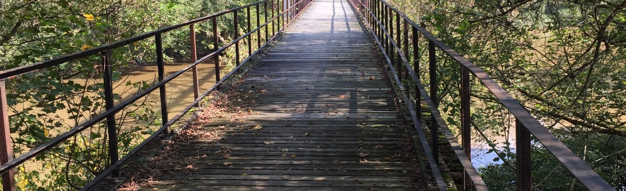 West Fork River Trail, West Virginia 80 Reviews, Map AllTrails