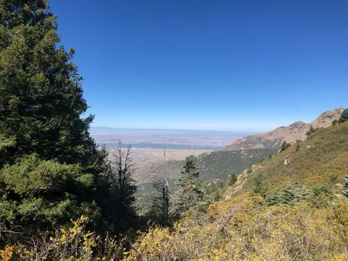 10 Best Hikes and Trails in Elena Gallegos Picnic Area/Albert G. Simms ...