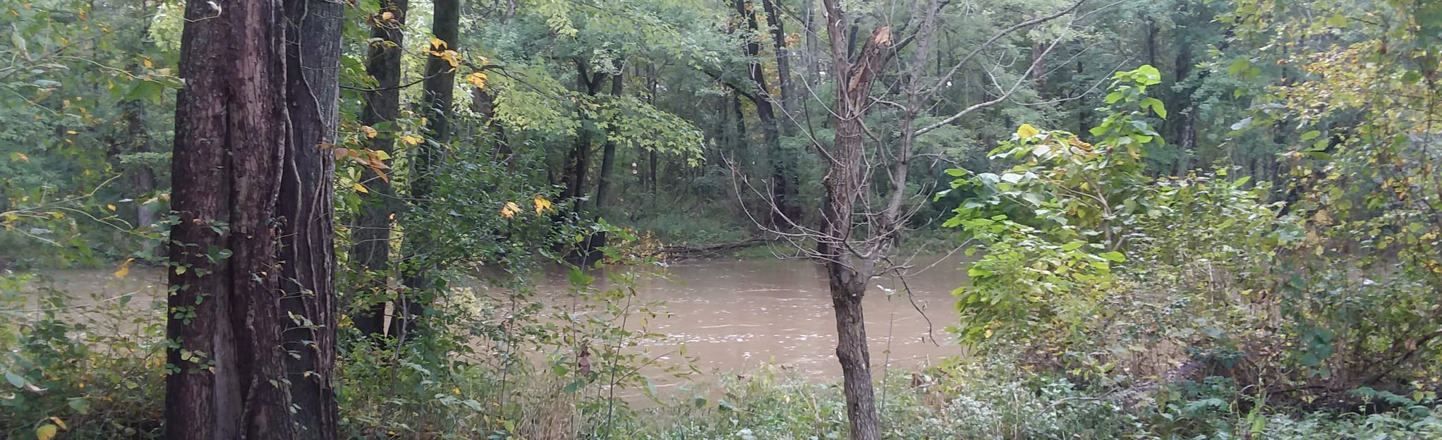 Forks of the Wabash Trail, Indiana 74 Reviews, Map AllTrails