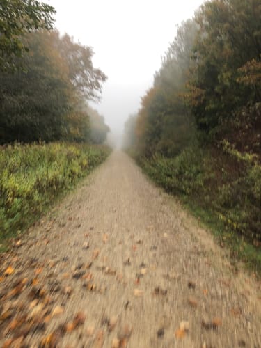Trail Running im Perlacher Forst ab Taufkirchen