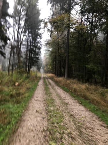 Trail Running im Perlacher Forst ab Taufkirchen