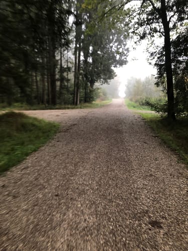 Trail Running im Perlacher Forst ab Taufkirchen