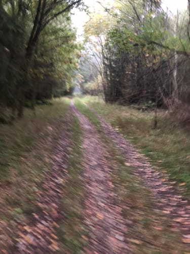 Trail Running im Perlacher Forst ab Taufkirchen