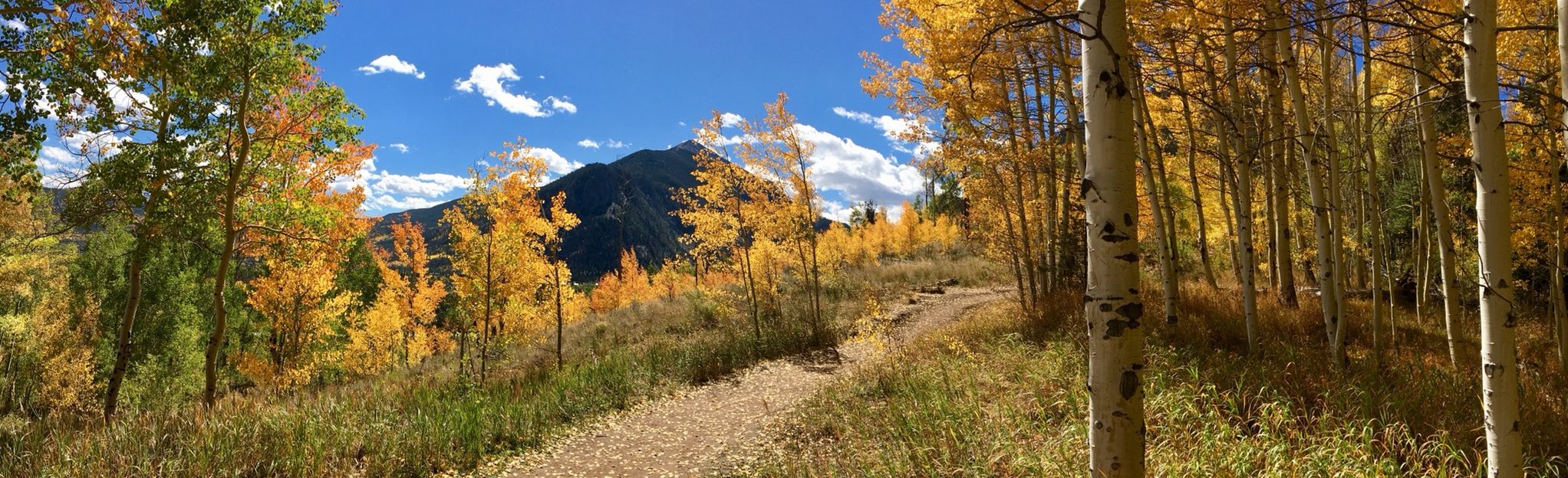 meadow-creek-trail-380-reviews-map-colorado-alltrails