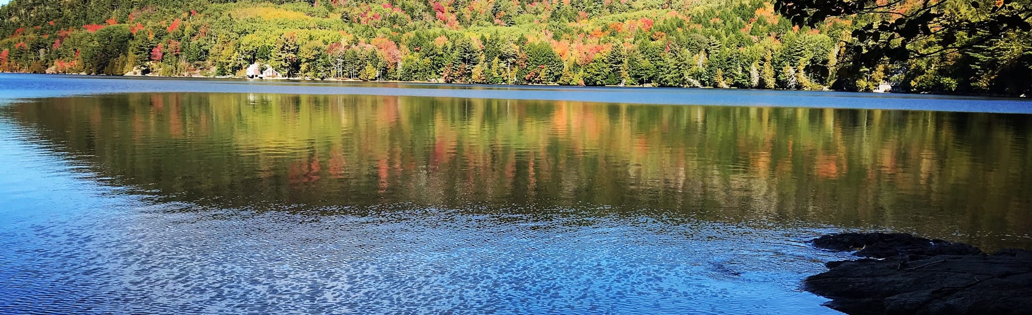 Mansell Mountain and Great Notch Trail Loop, 550 Fotos Maine AllTrails