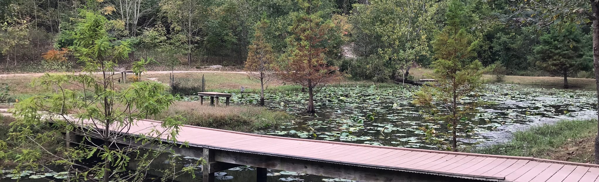 Cape Girardeau Conservation Nature Center Outer Trail Loop 265 Reviews