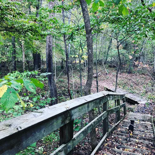 Best Walking Trails in Lake of the Ozarks State Park AllTrails