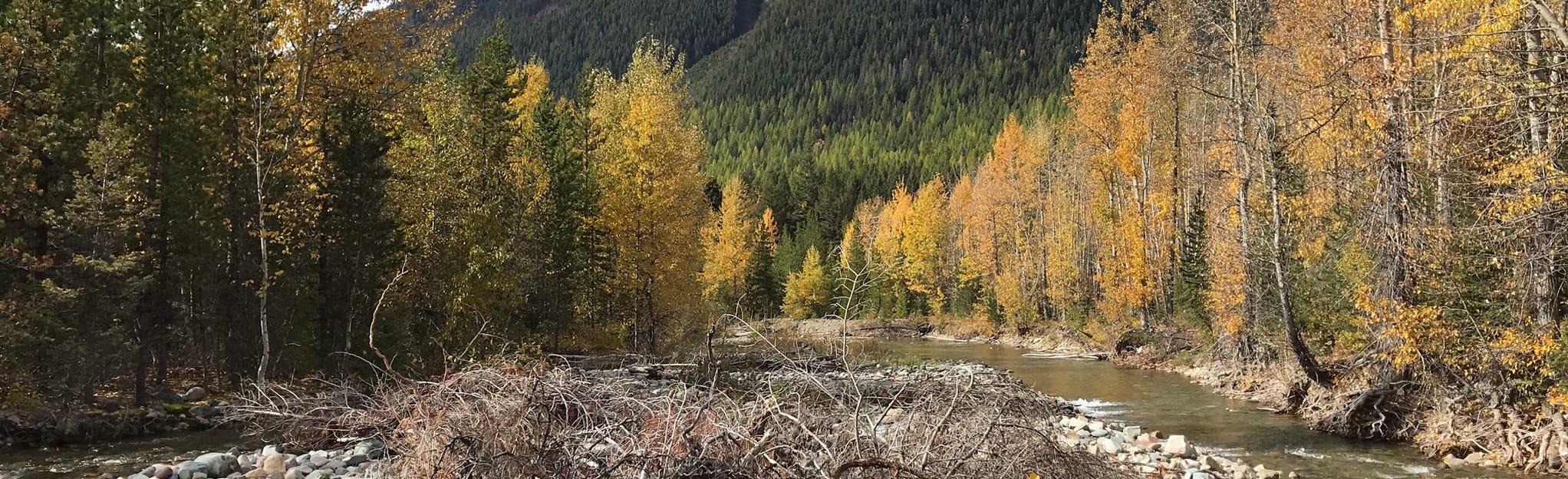 Coal Creek Wilderness Campground via Fielding Trail, Montana - 6 ...