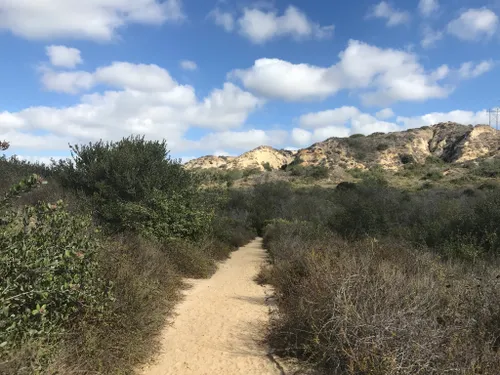 10 Best Trails and Hikes in Encinitas | AllTrails