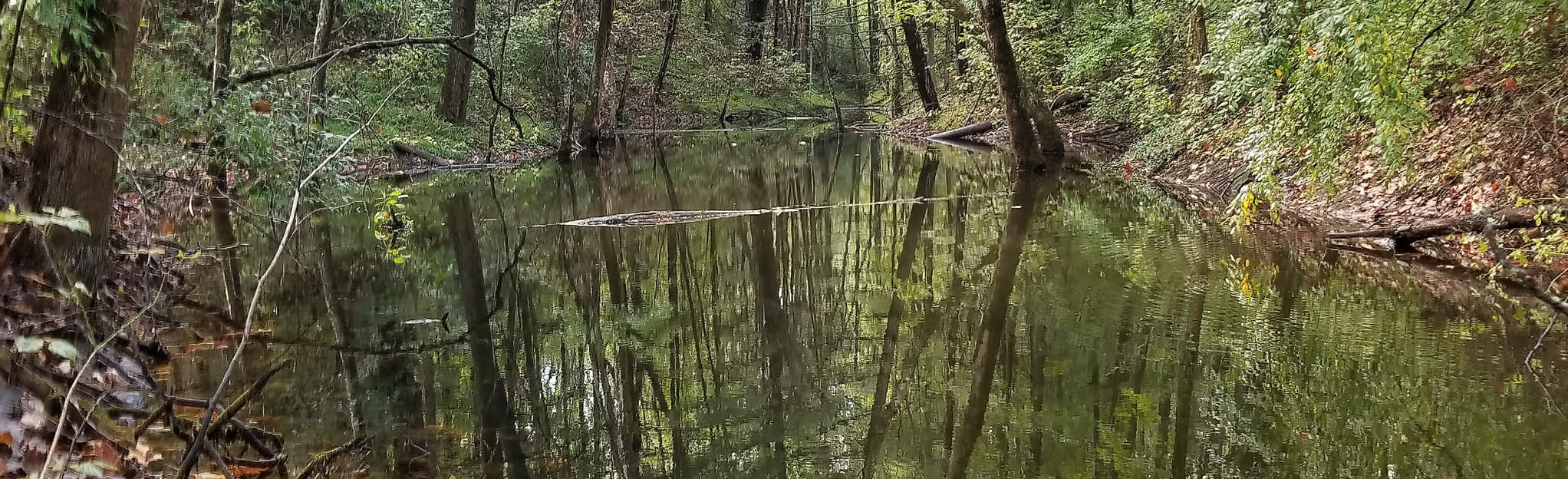 GreeneSullivan State Forest Orange Loop, Indiana 26 Reviews, Map