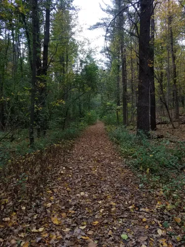 10 Best Hikes and Trails in Watkins Glen State Park | AllTrails