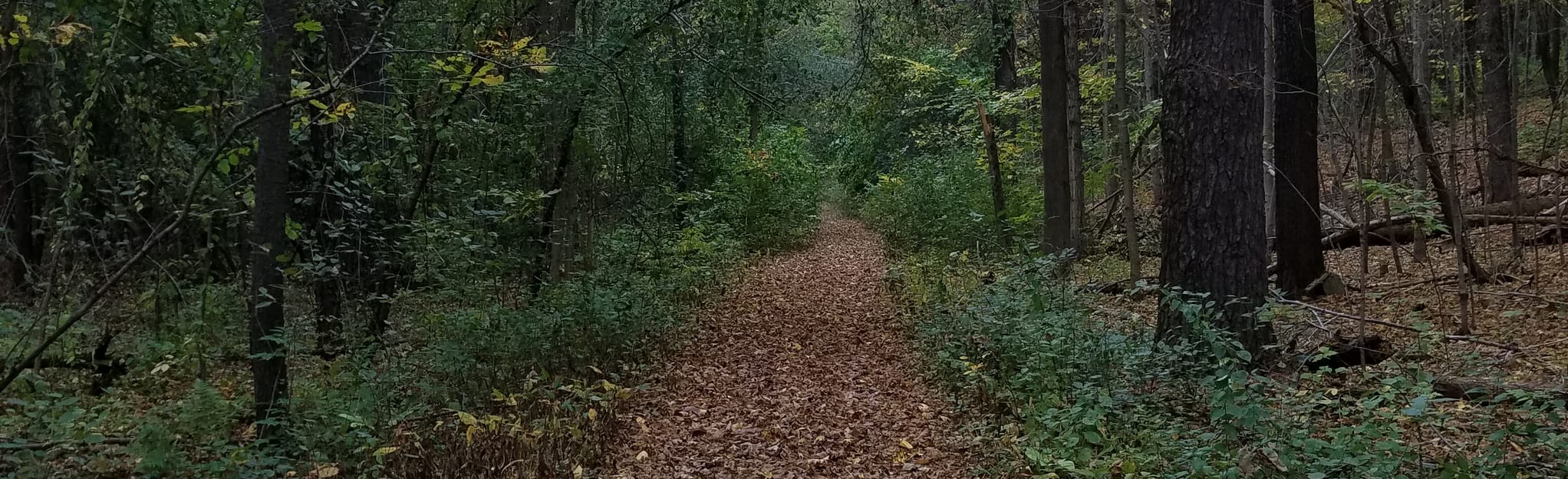 Punch Bowl Road, New York - 100 Reviews, Map | AllTrails