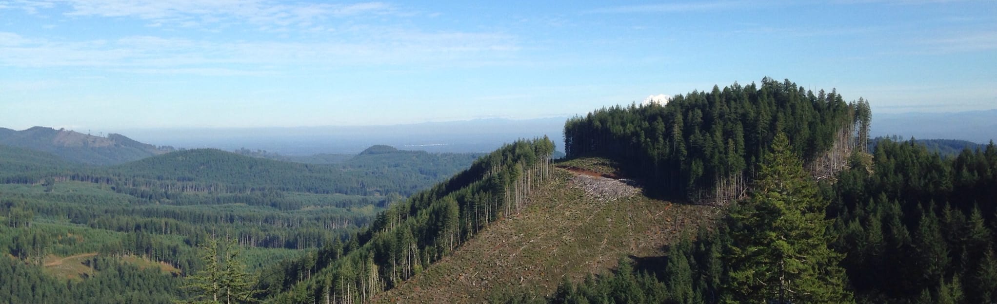 North Rim, Rock Candy, and Porter OHV Loop - Washington | AllTrails