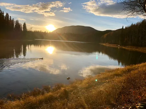 2023 Best Forest Trails in KitimatStikine F AllTrails
