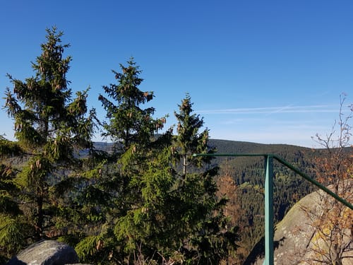 Mausefalle und Verlobungsinsel