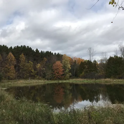 Best River Trails in Vanderwater Conservation Area AllTrails