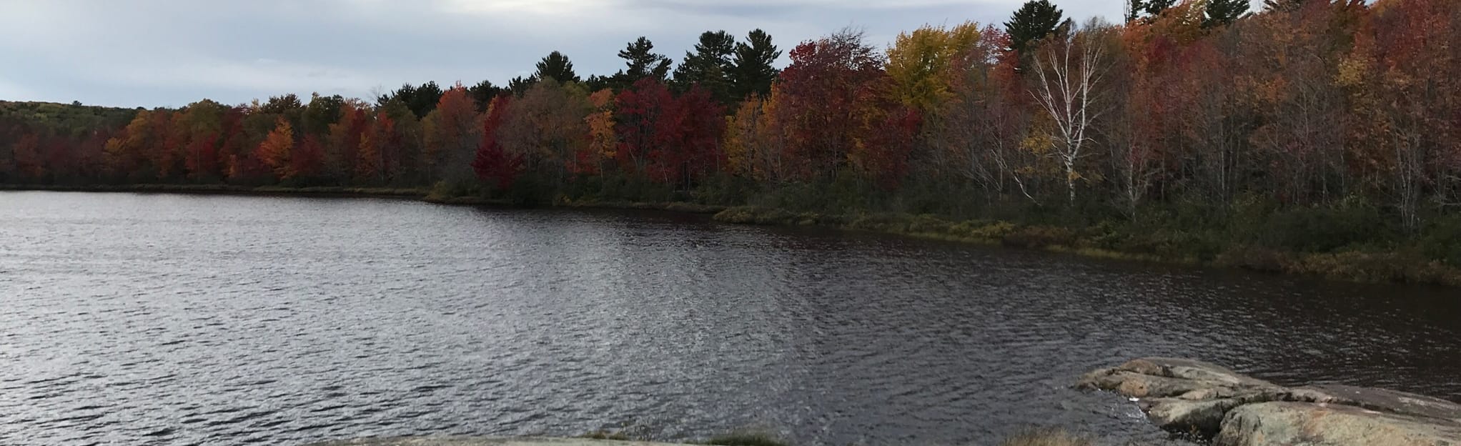 Hemlock, Beagle Club, and Bareback Trails Loop Michigan AllTrails