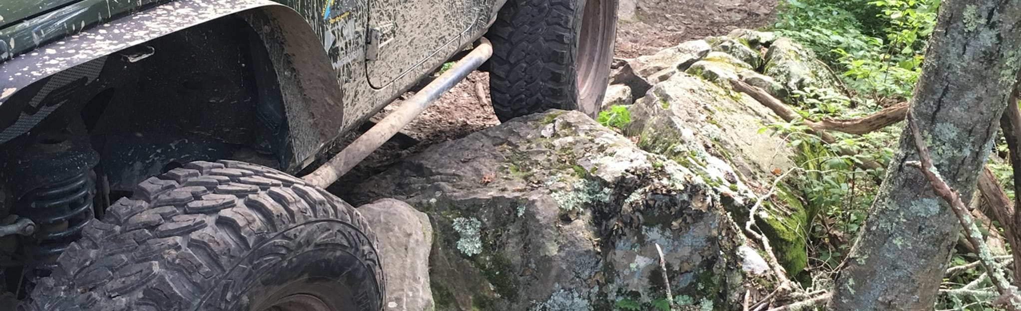 Potts Mountain Jeep Trail 17 Reviews, Map Virginia AllTrails