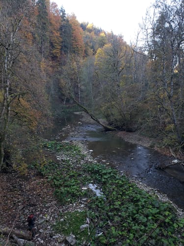 Best Hikes and Trails in Naturschutzgebiet Wutachschlucht AllTrails