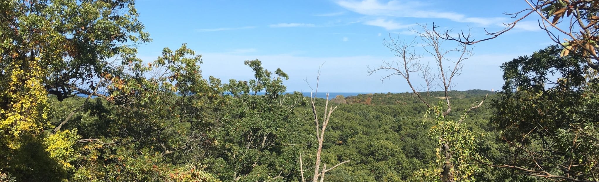 Mount Jackson, Mount Holden, and Mount Tom Loop, Indiana 300 Reviews