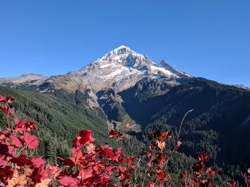 Mt shop hood hikes