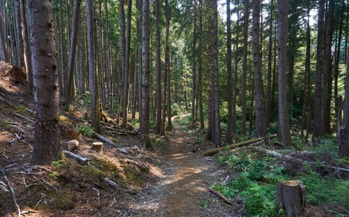 Lincoln City Hiking Trails Best 10 Trails And Hikes In Lincoln City | Alltrails