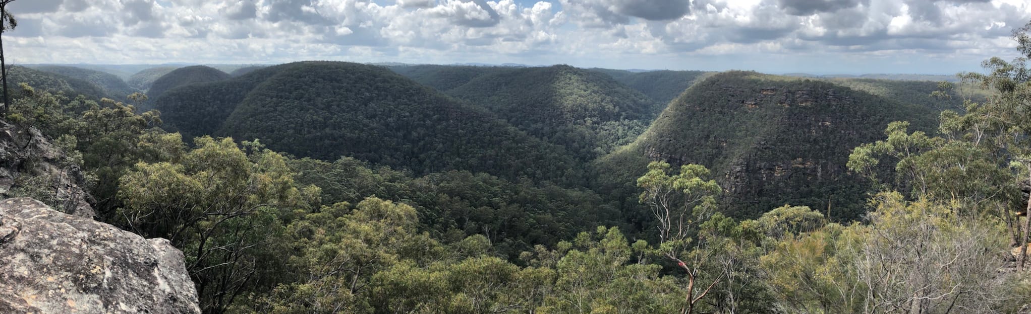 Faulconbridge to Blaxland via Victory Track 45 Reviews, Map New