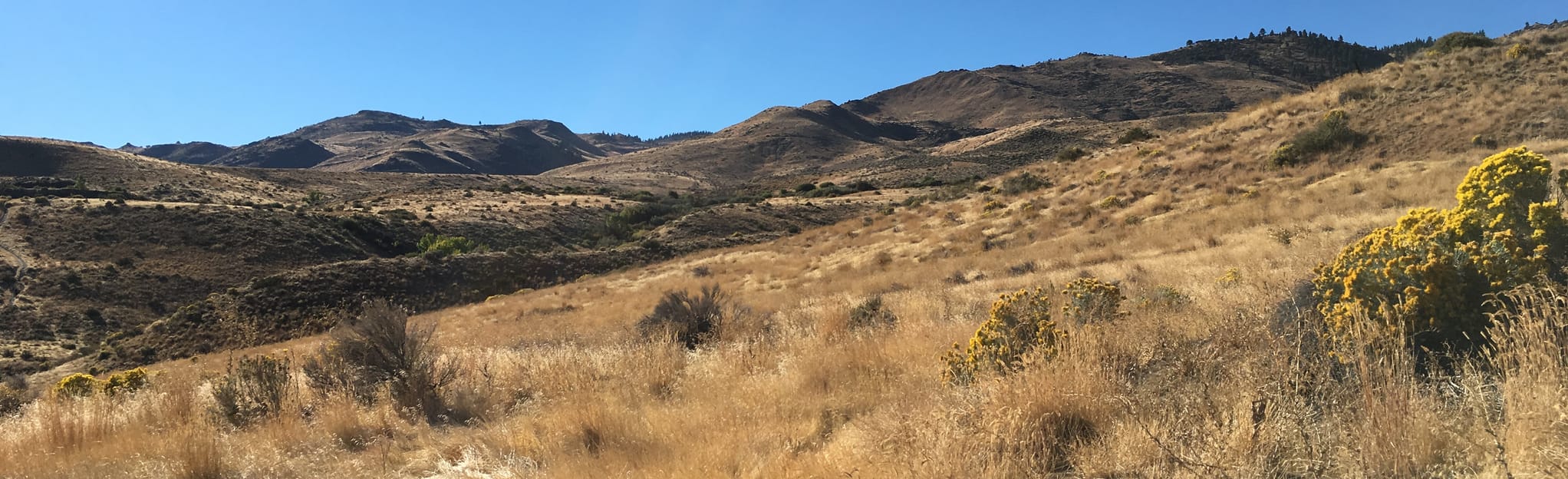 West Plateau Loop, Nevada 143 Reviews, Map AllTrails