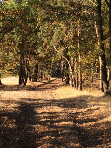 Runde an der Seebadsiedlung