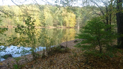 Hirschbornteiche