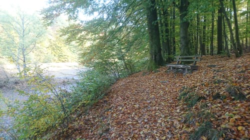 Spessartbiken 09: Alsberger Blick