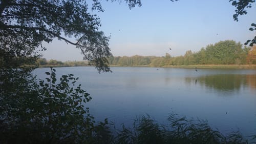 Waschweiher Weg