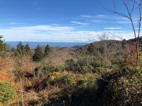Shining rock trail sales